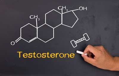 Testosterone là gì? Những thông tin cần nắm rõ!